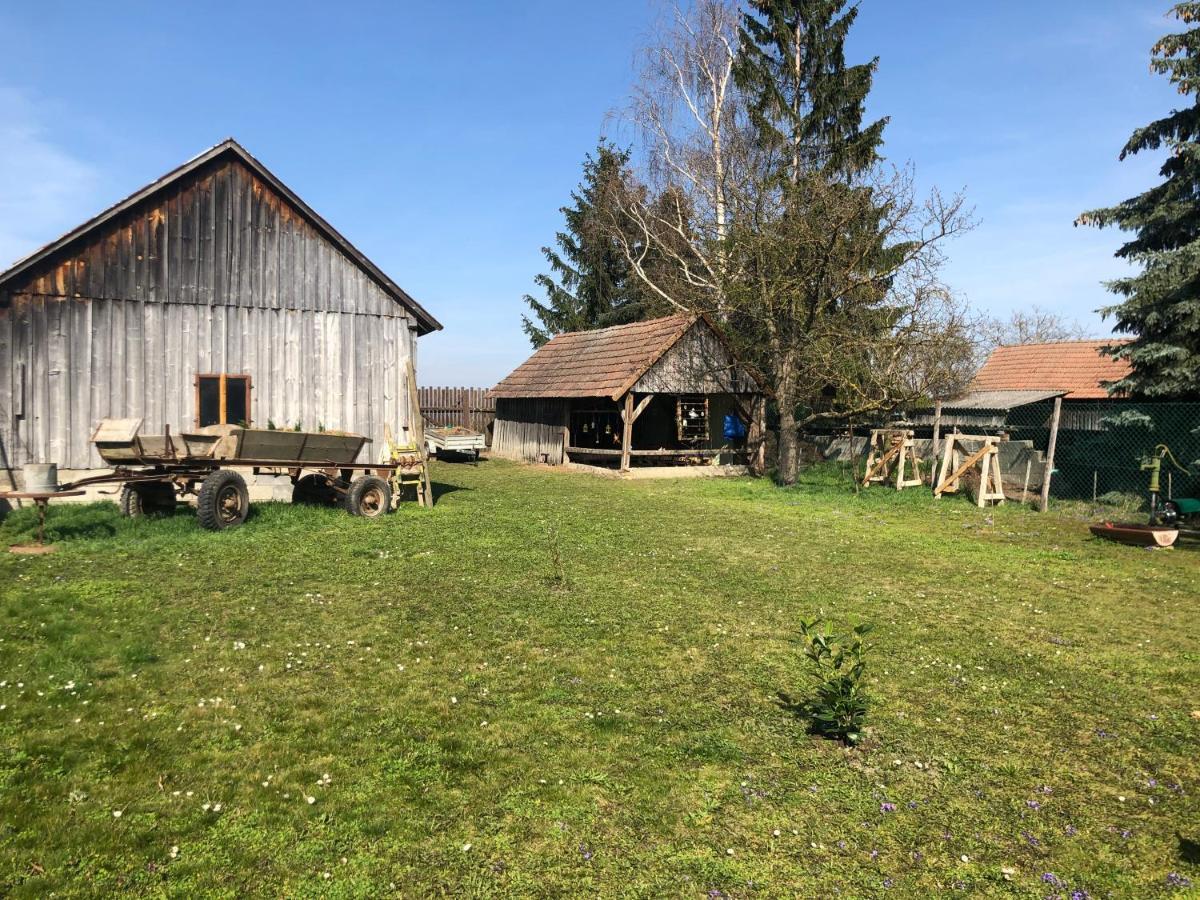 Auszeit; Gästehaus&mehr Kollersdorf Exterior foto